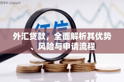 喀喇沁旗外汇贷款，全面解析其优势、风险与申请流程