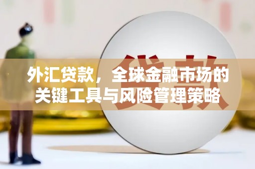 喀喇沁旗外汇贷款，全球金融市场的关键工具与风险管理策略
