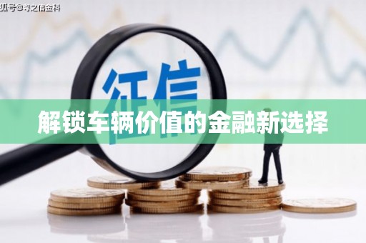 喀喇沁旗解锁车辆价值的金融新选择
