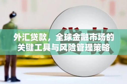 喀喇沁旗外汇贷款，全球金融市场的关键工具与风险管理策略