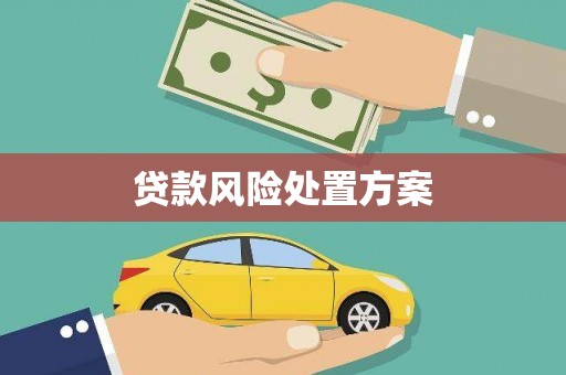 喀喇沁旗贷款风险处置方案