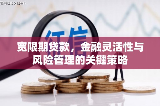 喀喇沁旗宽限期贷款，金融灵活性与风险管理的关键策略