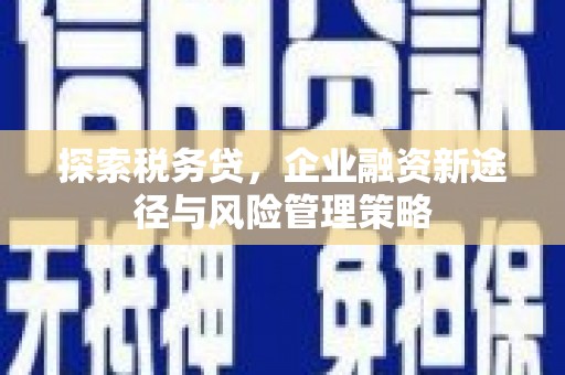 喀喇沁旗探索税务贷，企业融资新途径与风险管理策略