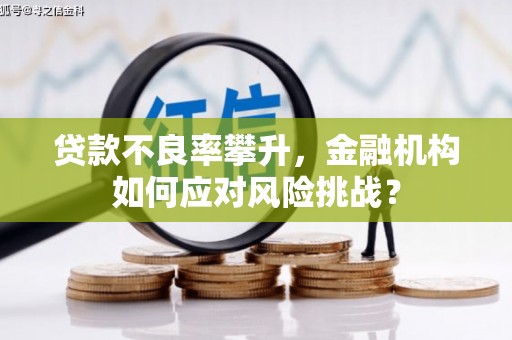 喀喇沁旗贷款不良率攀升，金融机构如何应对风险挑战？