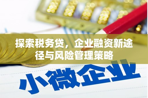 喀喇沁旗探索税务贷，企业融资新途径与风险管理策略