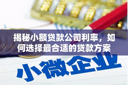 喀喇沁旗揭秘小额贷款公司利率，如何选择最合适的贷款方案