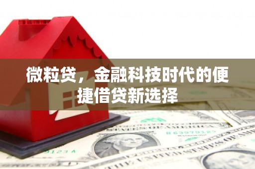 喀喇沁旗微粒贷，金融科技时代的便捷借贷新选择