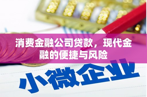 喀喇沁旗消费金融公司贷款，现代金融的便捷与风险